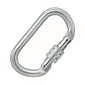 Steel Screw Gate Carabiner with 18mm Opening