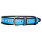 BIGBEN® Leather Belt with Eyelets - Blue