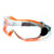 Eiger Anti-Scratch Safety Goggles - Clear Lens